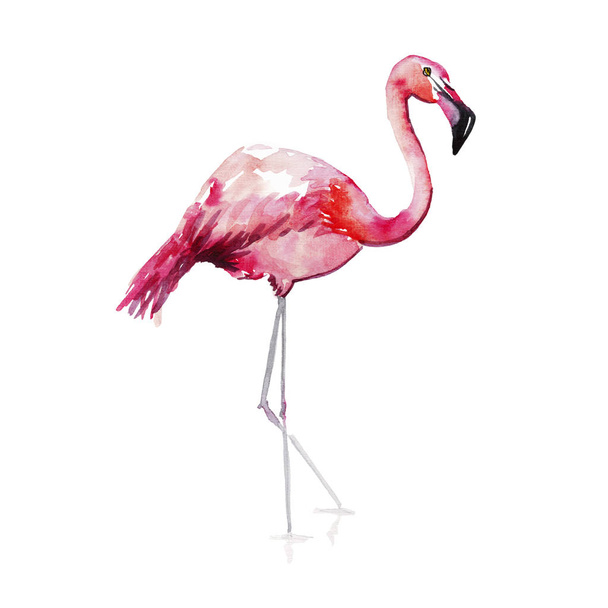 Bright lovely tender gentle sophisticated wonderful tropical hawaii animal wild summer beach pink flamingos pattern watercolor hand sketch. Perfect for greetings card, textile, wallpapers - Photo, Image