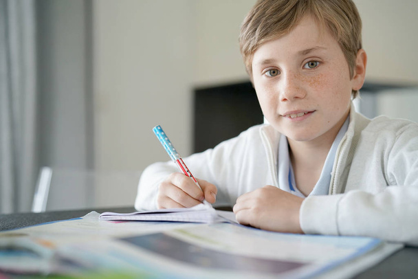  boy doing his homework - Zdjęcie, obraz