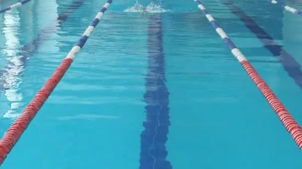 fiatal nő szemüveg és kap úszás mellúszás körvonalstílust a kék medence fedett verseny - Felvétel, videó