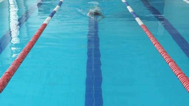 Chica nadadora en forma saltando y animando en la piscina en cámara lenta
 - Metraje, vídeo