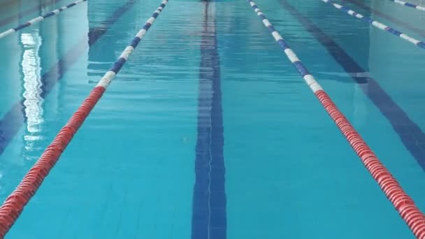 Jong meisje in de bril en cap rugslag zwemmen - Video