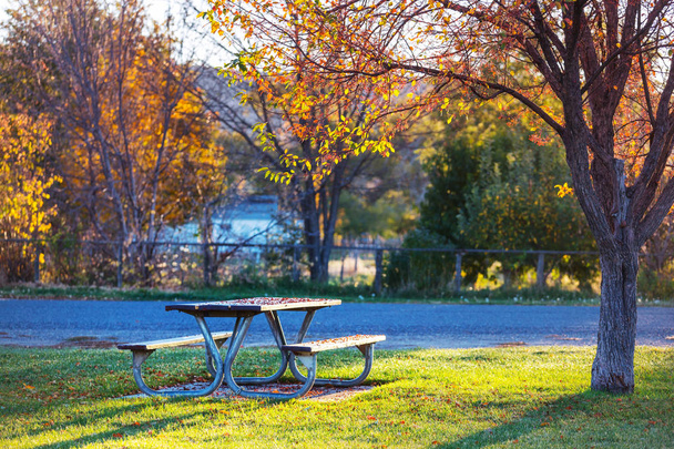 Tavolo da picnic sull'erba
 - Foto, immagini