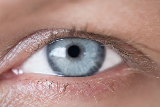 Closeup of woman's blue eye - Valokuva, kuva