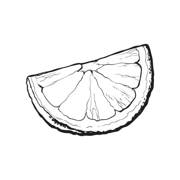 Quarter, segment, piece of ripe lime - Vektori, kuva