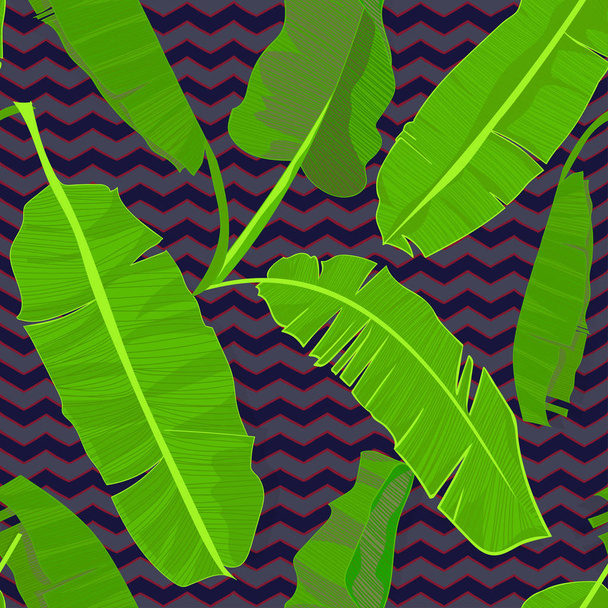 Seamless hand drawn tropical pattern with palm banana leaves, jungle exotic leaf on dark background - Vector, Imagen