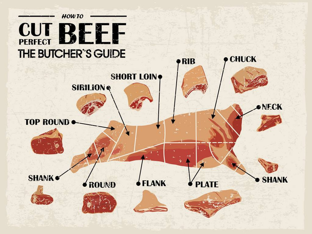 Vintage Poster Butcher diagrama
  - Vetor, Imagem