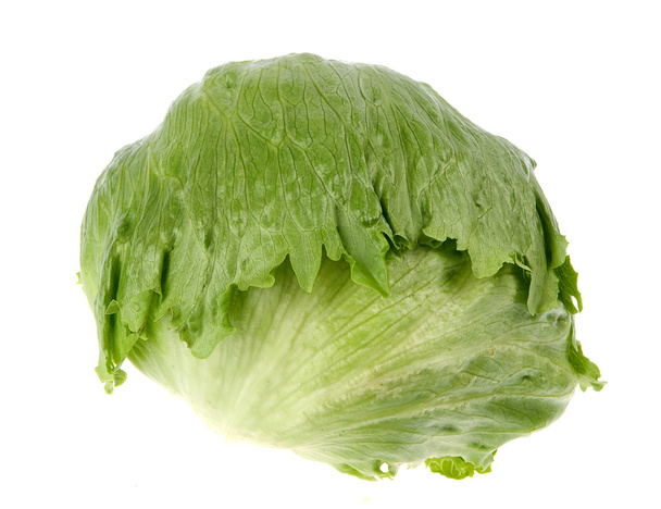 Green cabbage - Foto, Imagen