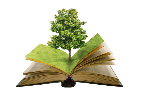 πράσινο δέντρο και με χόρτο πεδίο ανοιχτό βιβλίο vintage - Φωτογραφία, εικόνα