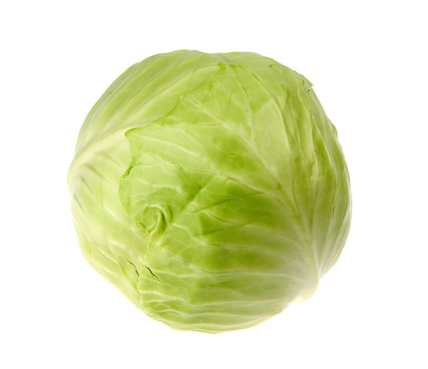 Cabbage - Foto, Imagem