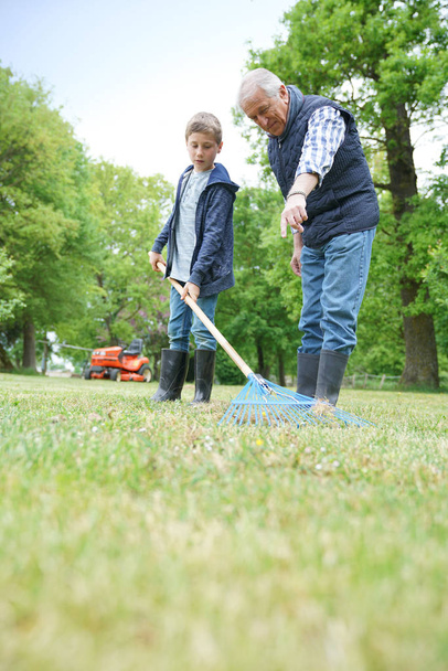 Grandfather with grandkid cleaning garden  - Foto, Bild