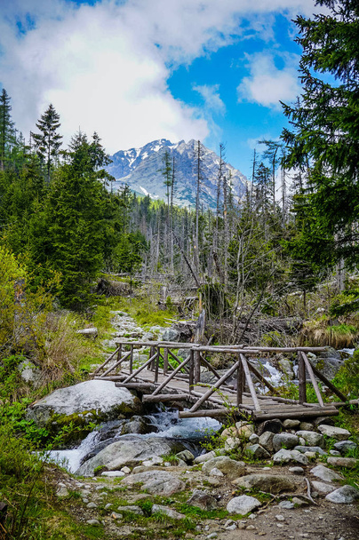 Wasserfälle an einem Bach im Nationalpark Hohe Tatra Slowakei Europa - Foto, Bild