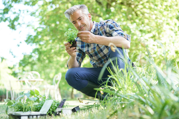  man in garden planting new flowers - Fotografie, Obrázek