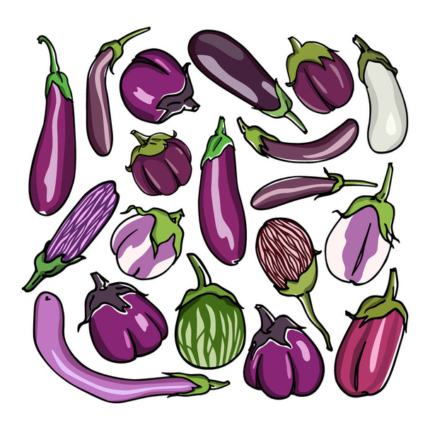 Eggplant varieties print - Wektor, obraz