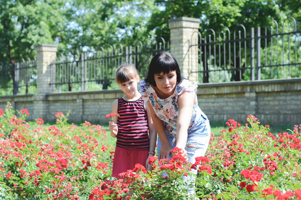 Mother and daughter are taking roses - Foto, Imagen