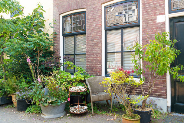 Front of house with plants in pots in street of old town of Sche - Foto, Bild