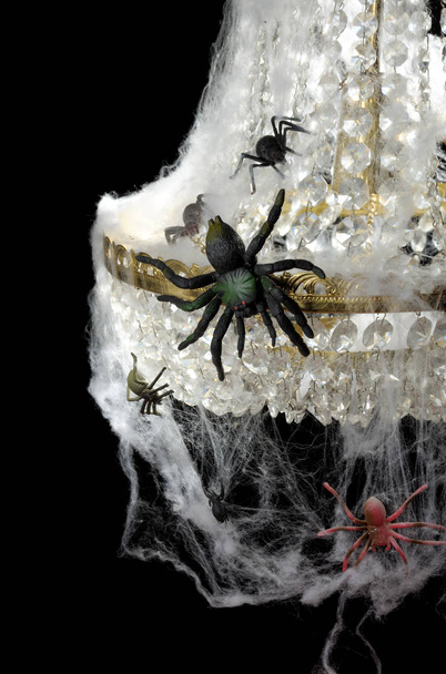 Pavouci na lustr - Fotografie, Obrázek