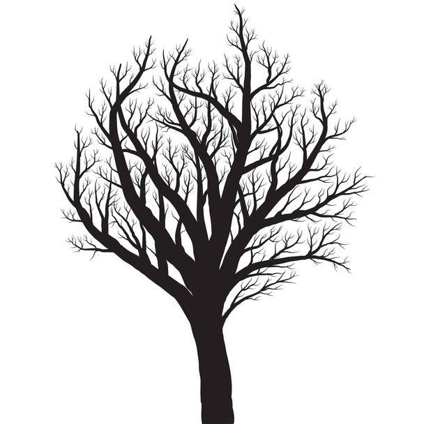 Tree silhouette on white background - Vector, Image