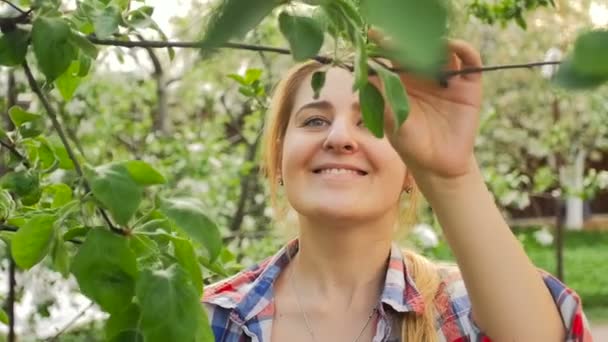 Nahaufnahme in Zeitlupe: Schöne lächelnde Frau schneidet Äste von Apfelbäumen mit Baumscheren - Filmmaterial, Video