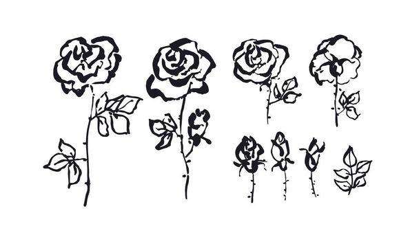 Ręcznie rysowane Róża kwiatowy szkic w nowoczesnym stylu shabby. Koncepcja malowane Róża kwiatki dla karty, zaproszenia, wystrój, projektowanie powierzchni. - Wektor, obraz