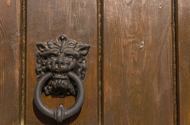 Door with brass knocker in the shape of a lion's head, beautiful - Photo, Image