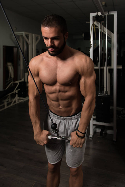 Model Exercising Triceps - Foto, imagen