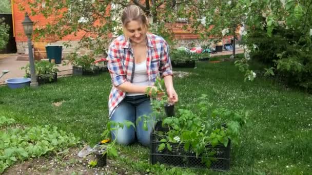 Hermosa joven sentada en el jardín y plantando plántulas de tomate
 - Metraje, vídeo
