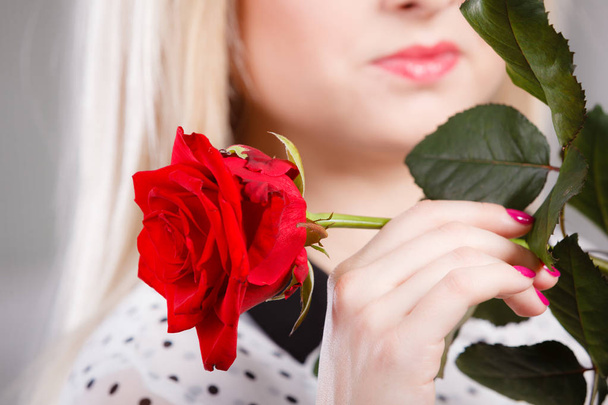 Closeup woman holding red rose near face. - Zdjęcie, obraz
