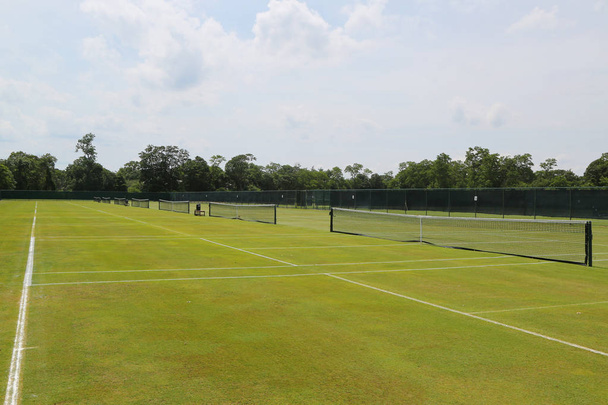 Grass tennis courts - Φωτογραφία, εικόνα