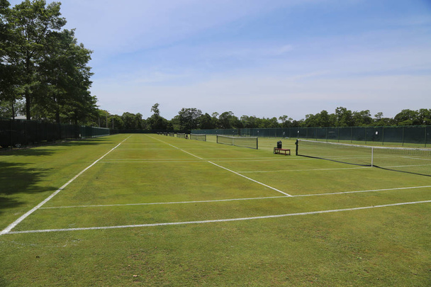 Grass tennis courts - 写真・画像