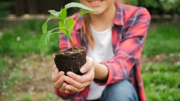 Closeup tiro em câmera lenta de menina sorrindo mostrando pimenta planta cultivada de sementes nas mãos
 - Filmagem, Vídeo