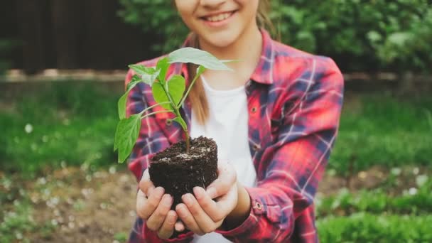 Zbliżenie zwolnionym tempie nagrania uśmiechający się nastolatkę, trzymając w rękach roślina sadzonka - Materiał filmowy, wideo