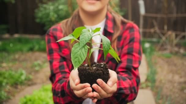 Plan rapproché d'une jeune femme souriante tenant une poignée de terre et de semis dans un jardin d'arrière-cour
 - Séquence, vidéo