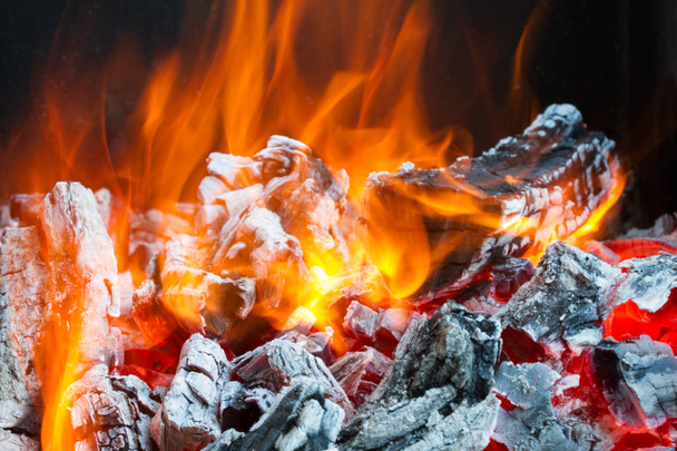 Leña ardiendo en el fuego
 - Foto, imagen