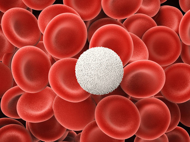  λευκά κύτταρα αίματος, με ερυθρά αιμοσφαίρια - Φωτογραφία, εικόνα