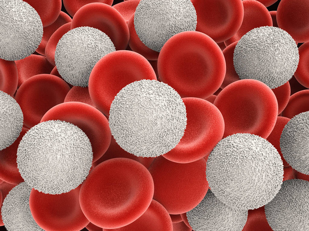  witte bloedcellen met rode bloedcellen - Foto, afbeelding