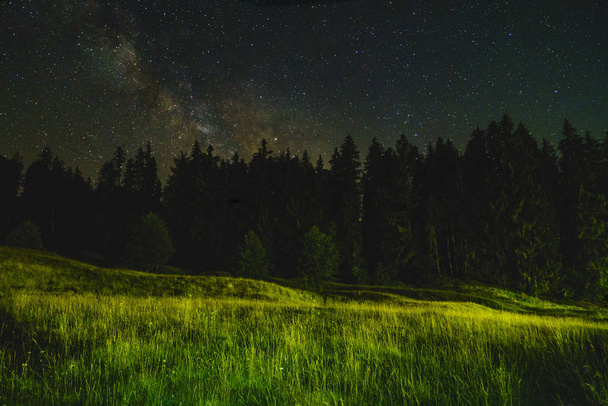 Пейзаж ночи с деревьями и звездами в небе
 - Фото, изображение