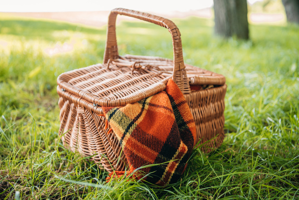 Picknickkorb auf Gras  - Foto, Bild
