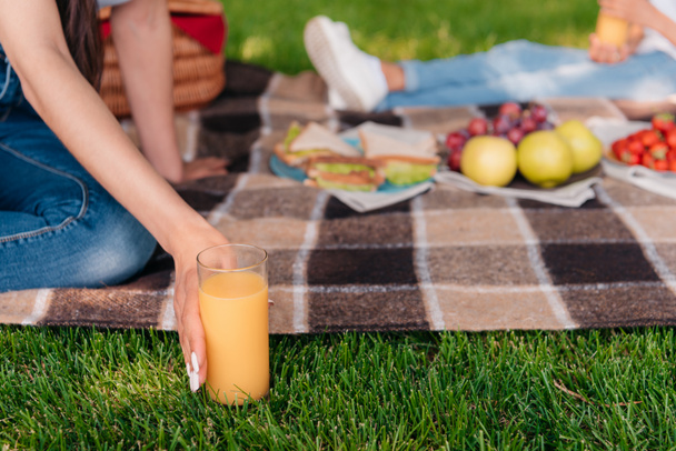 ピクニックでジュースを飲む人  - 写真・画像