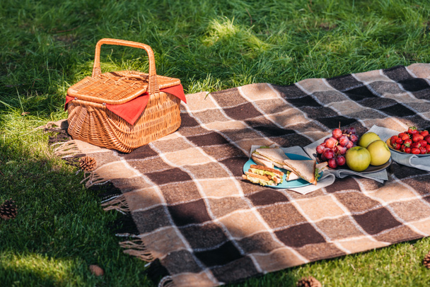 Piknik kosár és gyümölcsök  - Fotó, kép