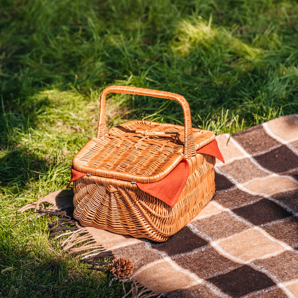 Picknickmand op gras  - Foto, afbeelding