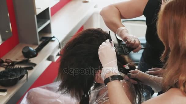 Kappers hun haar verven met penselen en verf in de beauty salon - Video