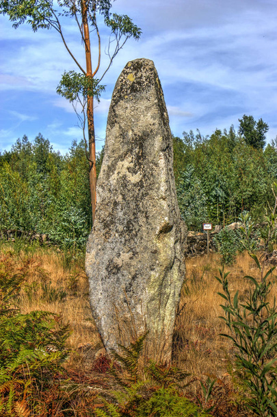 Luzim menhir à Penafiel
 - Photo, image