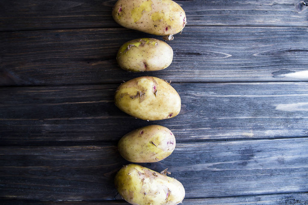Légumes bio d'été de votre propre potager
 - Photo, image