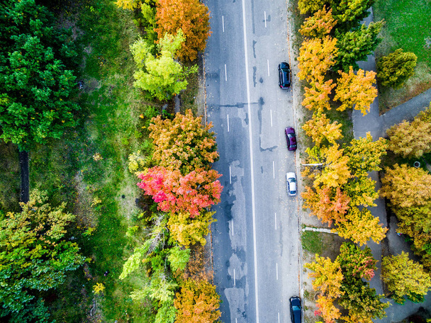 Aerial view - autumn city road - Zdjęcie, obraz