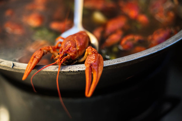 freshly boiled hot crayfish - Фото, зображення