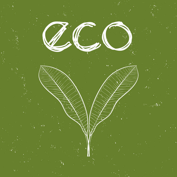 Eco badge with leaves for organic, natural, bio and eco friendly products on green shabby background. - Vector, Image