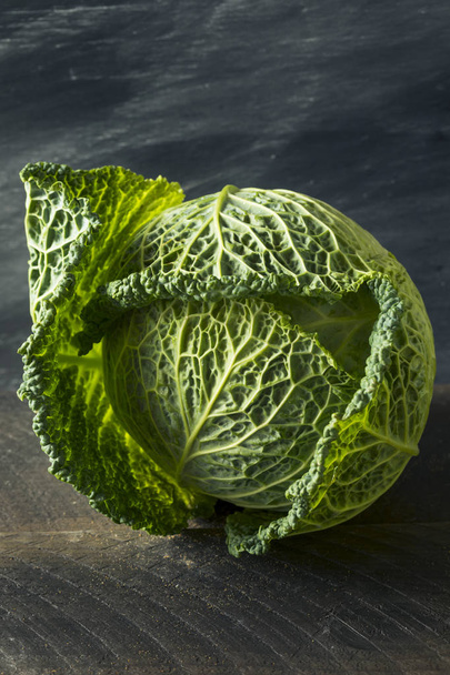 Raw Organic Savoy Cabbage Head - 写真・画像