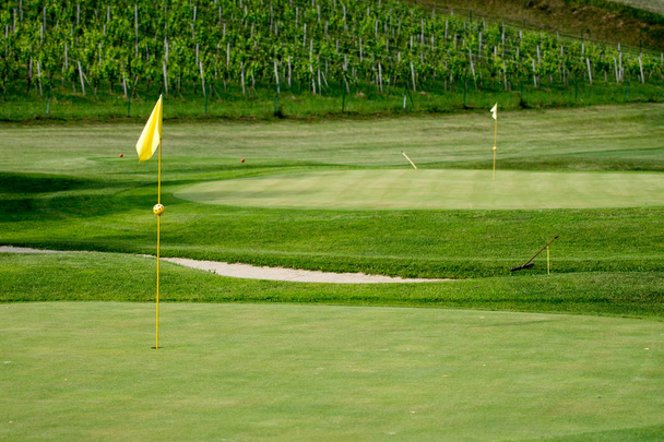 Поле для гольфа в виноградниках с желтыми флагштоками и бункером
 - Фото, изображение