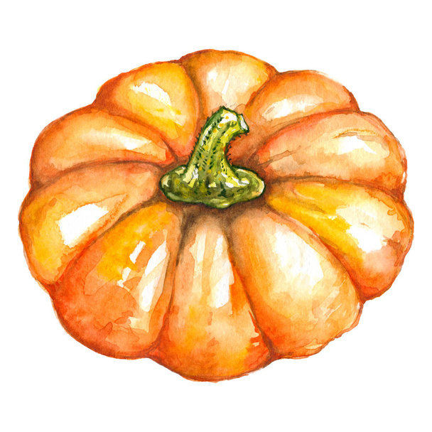 Acuarela naranja calabaza vegetal Jack-o-lantern Halloween aislado
 - Foto, Imagen