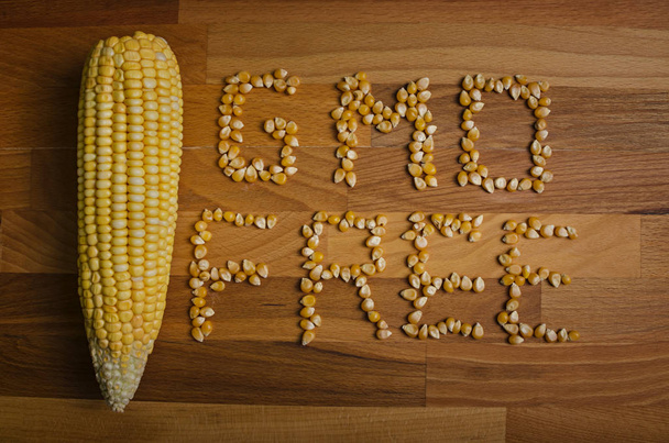 Milho livre de OGM, conceitos saudáveis
 - Foto, Imagem